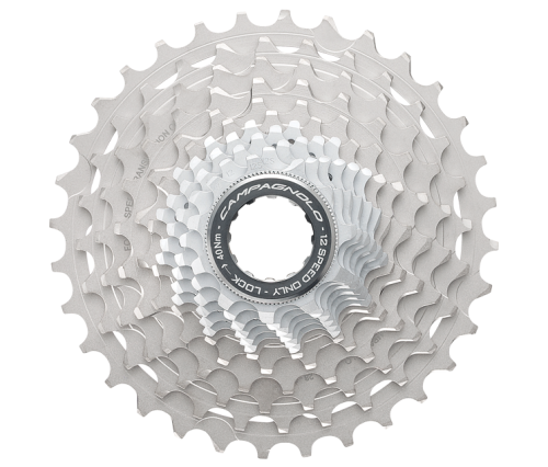 cs19-sr1219.png