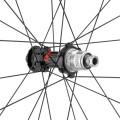 photogallery_604.jpg