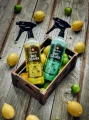 WELDTITE-2022-Studio-Lemon-Crate-4340-1_550x.webp
