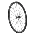 WWGLEVANTE8.webp