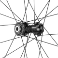 WWGLEVANTE9.webp