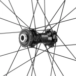 WWGLEVANTE9.webp