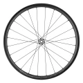 WWGLEVANTE2.webp