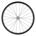 WWGLEVANTE2.webp