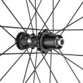 photogallery_673.jpg