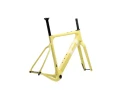 3T_Primo_Giallo_2.jpg