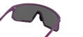 clarionredfoto_lens_moab_plum_web.png