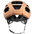 kask-protone-icon-wg11-road-helmet-sahara-matt-3-1750576.jpg