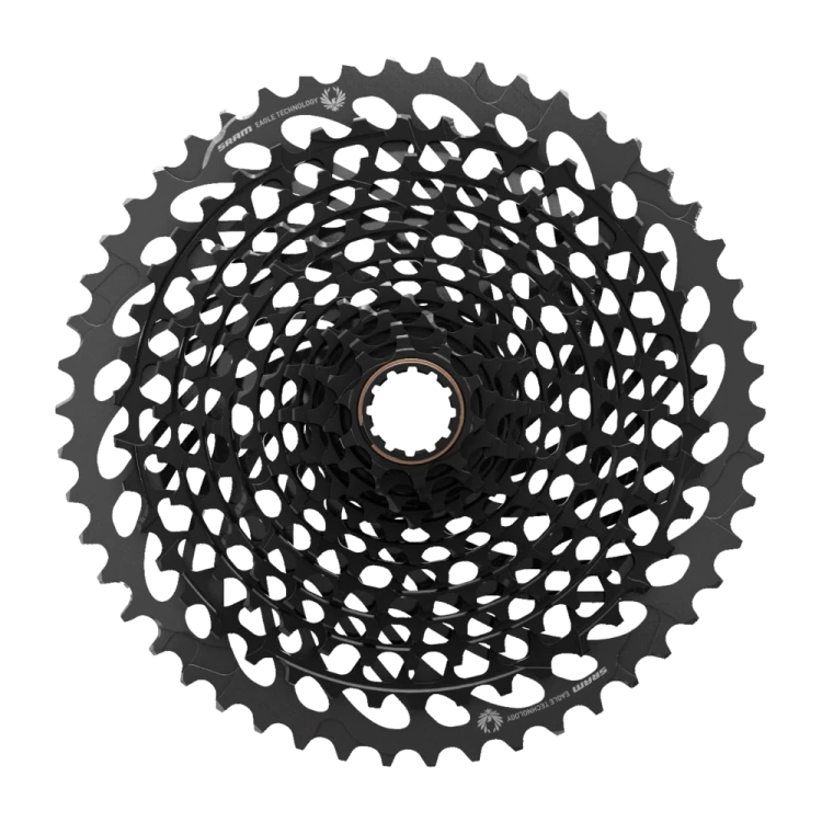 am-cs-xg-1295-eagle-10-50t-black-c-frt-s.png