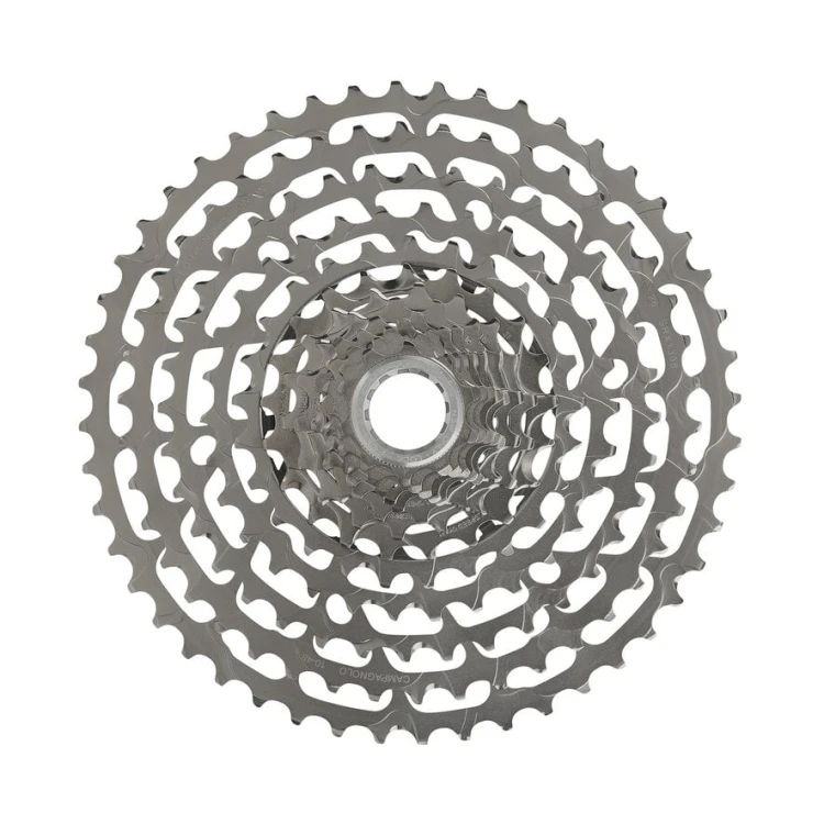 CCSSUPERRECORD13X.standard.1.H1.jpg
