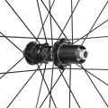 photogallery_785.jpg