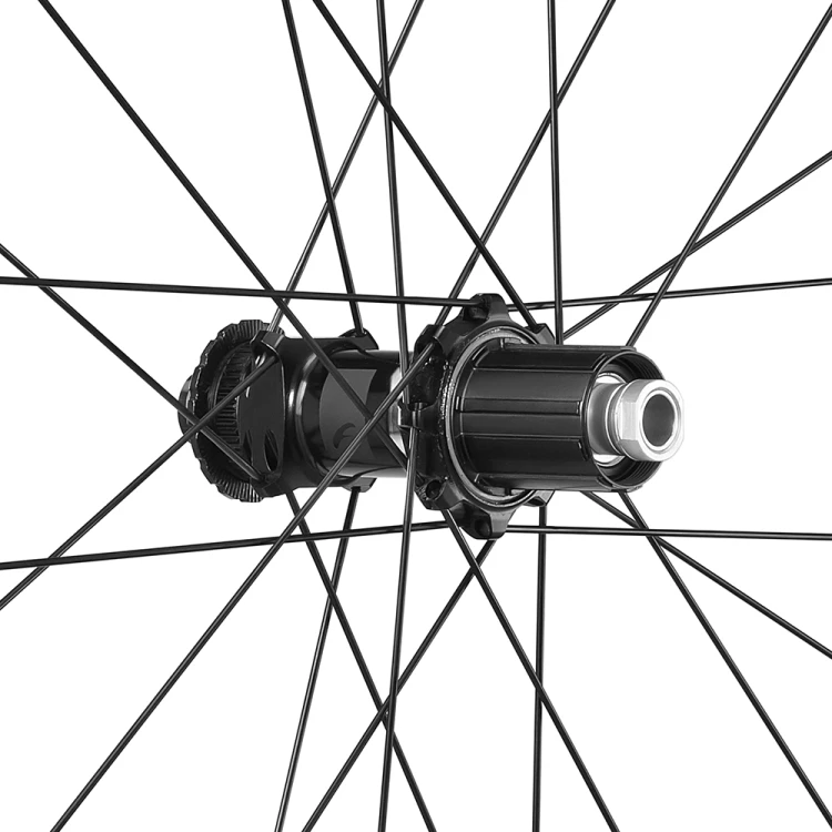 photogallery_785.jpg