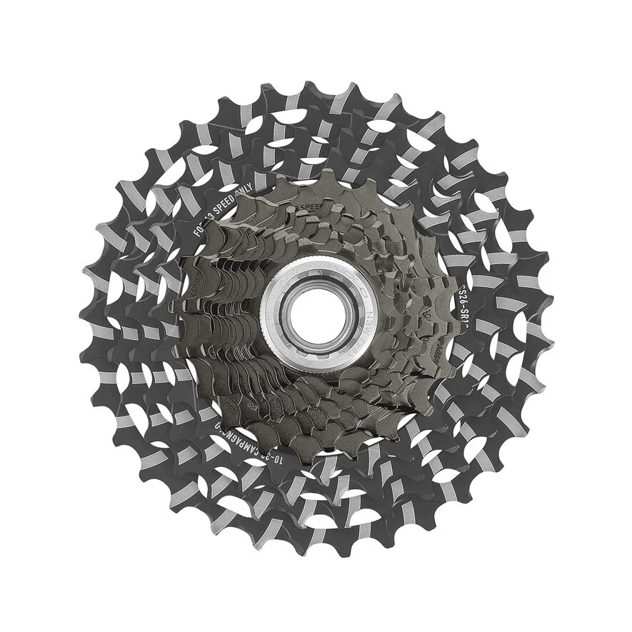 CCSRECORD13.standard.1.H1.webp