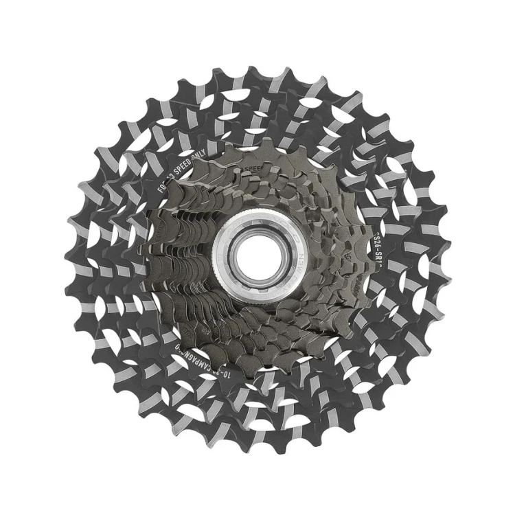 CCSRECORD13.standard.1.H1.webp