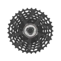 CCSRECORD13.standard.4.H1.webp