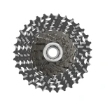 CCSRECORD13.standard.1.H1.webp