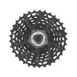 CCSRECORD13.standard.4.H1.webp