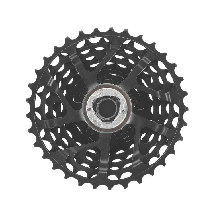 CCSRECORD13.standard.4.H1.webp