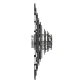 CCSRECORD13X.standard.4.H1.webp