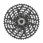 CCSRECORD13X.standard.3.H1.jpg