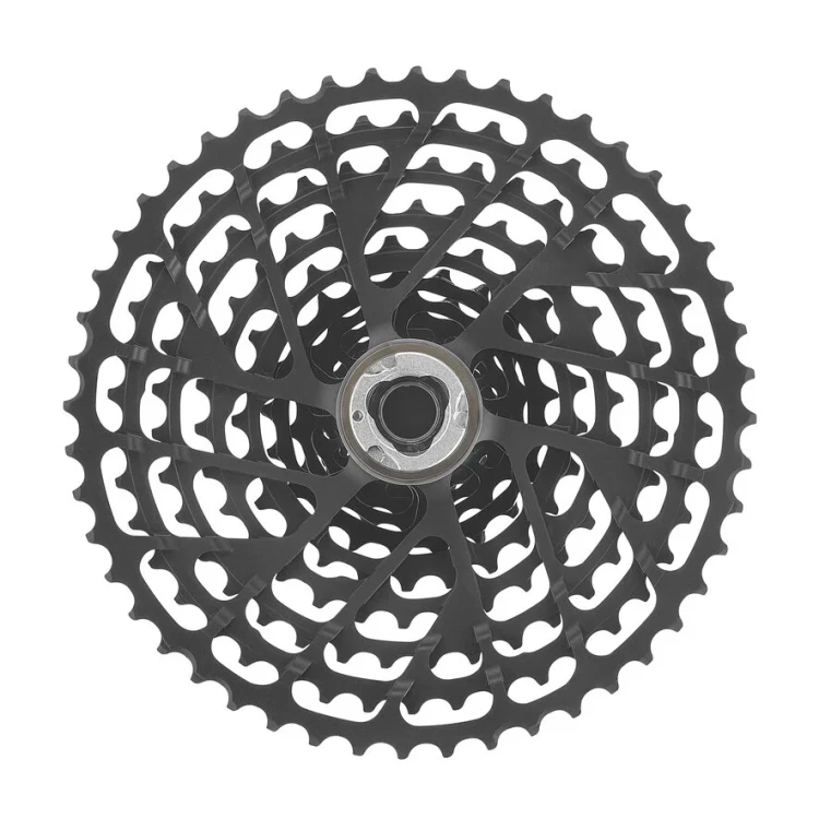 CCSRECORD13X.standard.3.H1.jpg