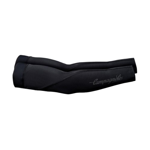 campagnolo_protemp_arm.jpg