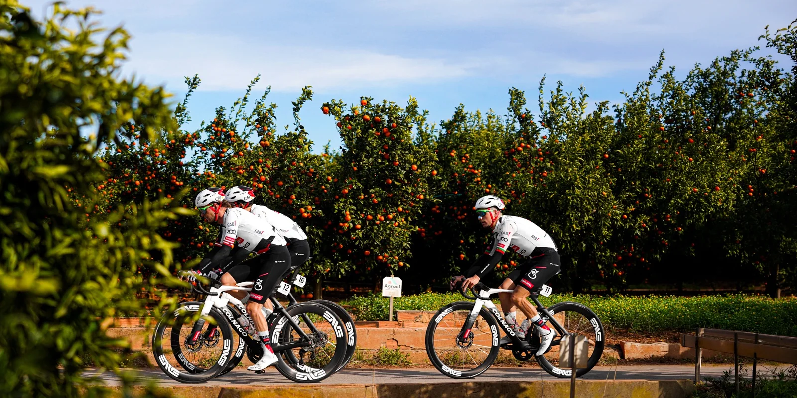 Zawodnicy UAE Team Emirates